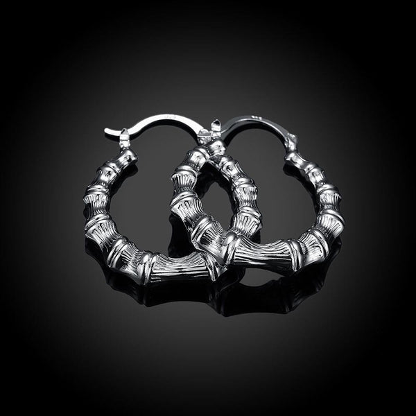 Silver Earrings - LSE139