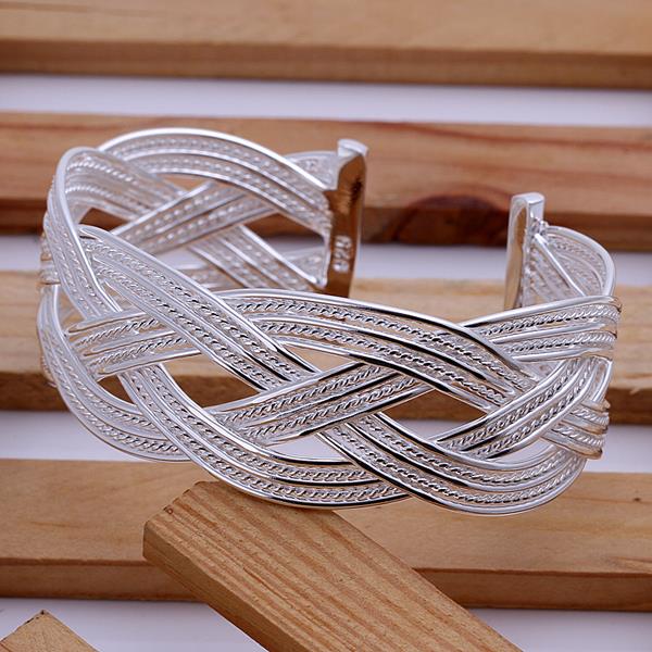 Silver Designer Jewelry Set LSS310
