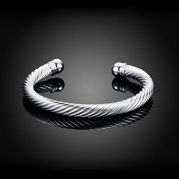 Silver Designer Bangle LSB030 SGS