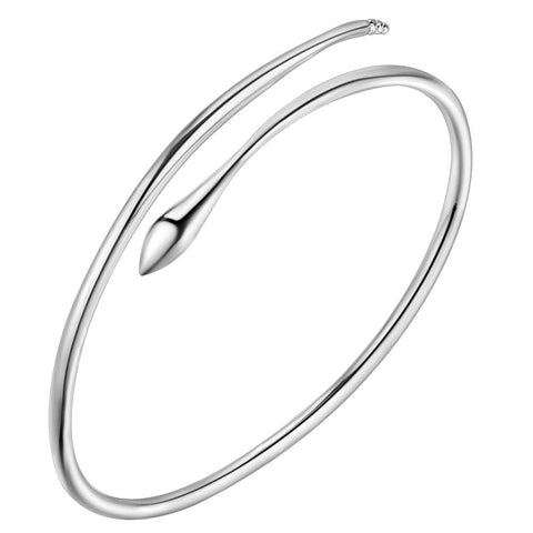 Silver Bangle LSAS040