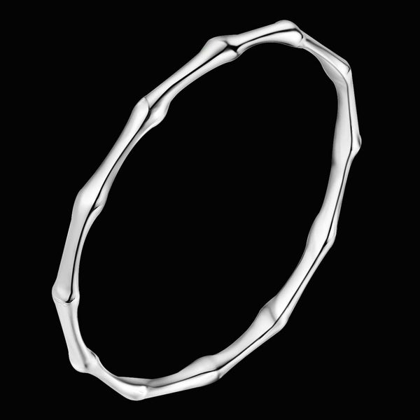 Silver Bangle LSAS071