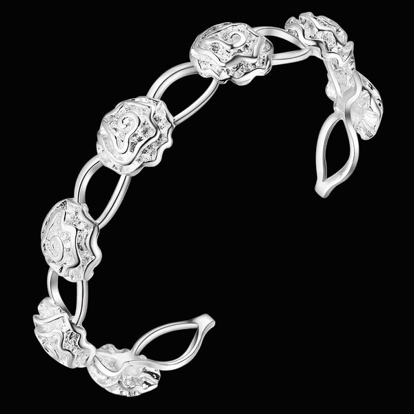 Silver Bangle LSAS081