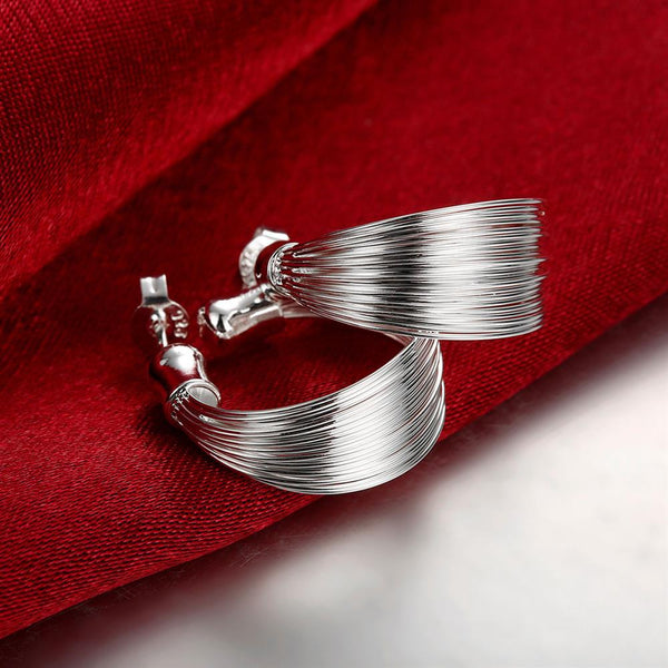 Silver Earrings - LSE005