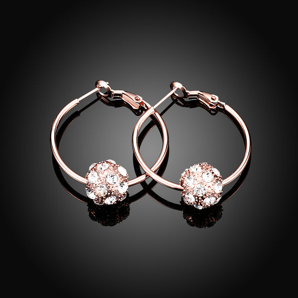 Rose Gold Earrings LSE008