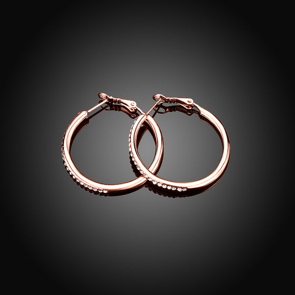 Rose Gold Earrings LSE020