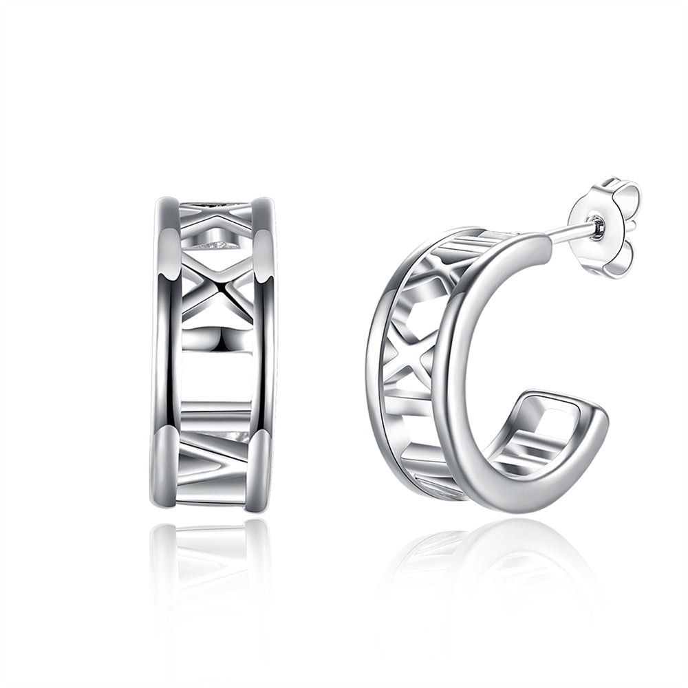 Silver Earrings LSE046