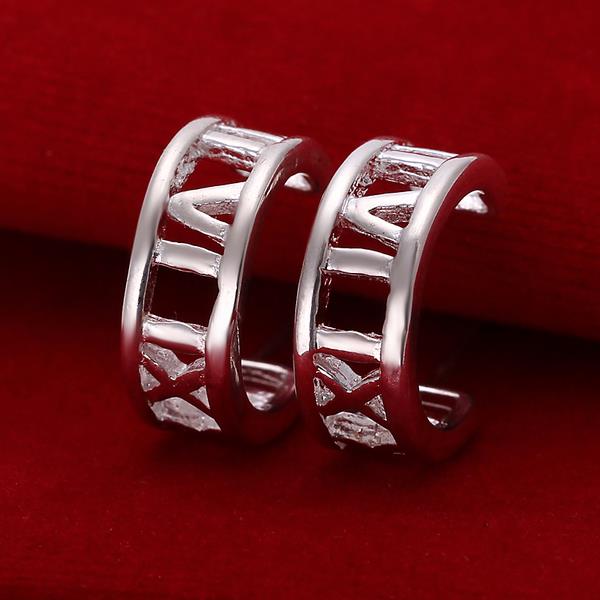Silver Earrings LSE046