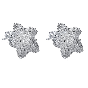 Silver Earrings LSE142