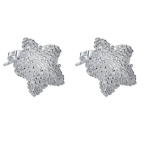 Silver Earrings LSE142