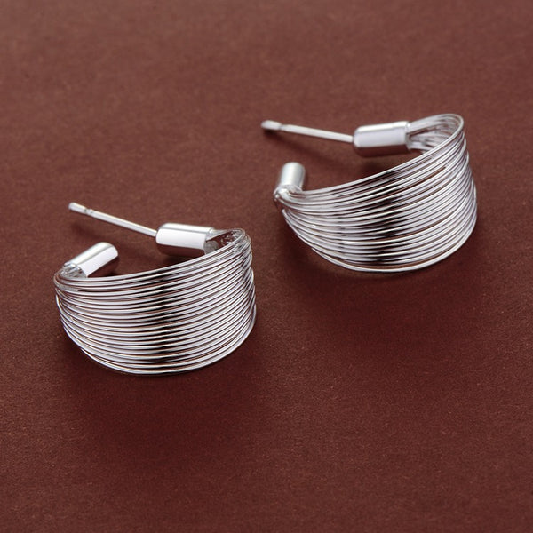 Silver Earrings LSE146