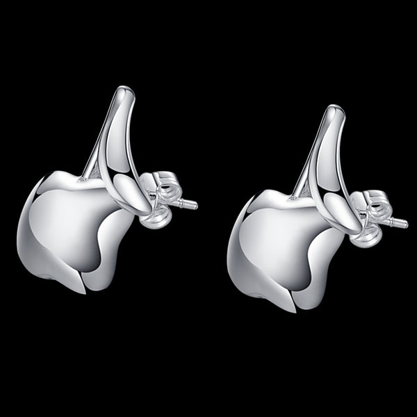 Silver Earrings LSE147