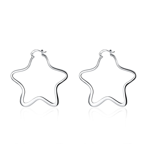 Silver Earrings - LSE151