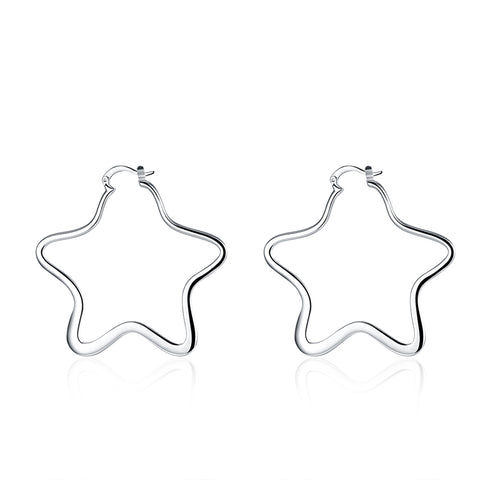Silver Earrings - LSE151