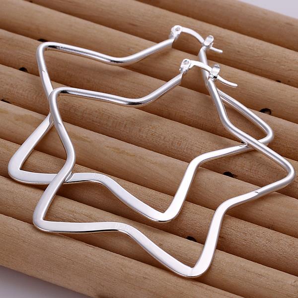 Silver Earrings - LSE151