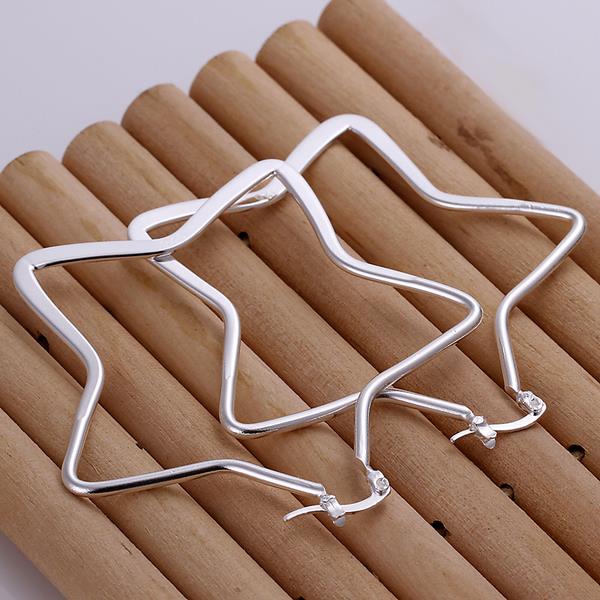 Silver Earrings - LSE151