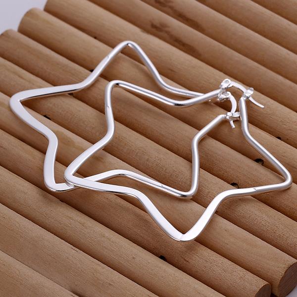 Silver Earrings - LSE151