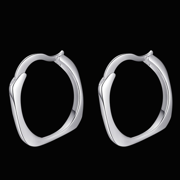 Silver Earrings LSE175