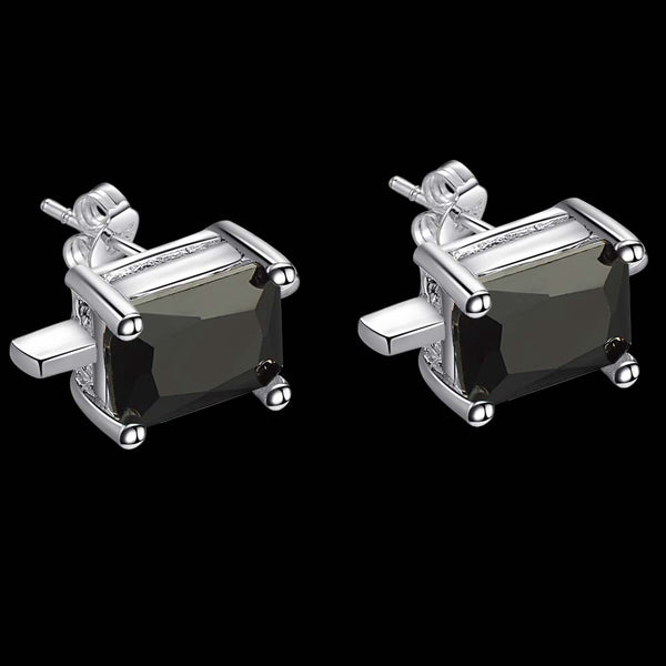 Silver Earrings LSE197