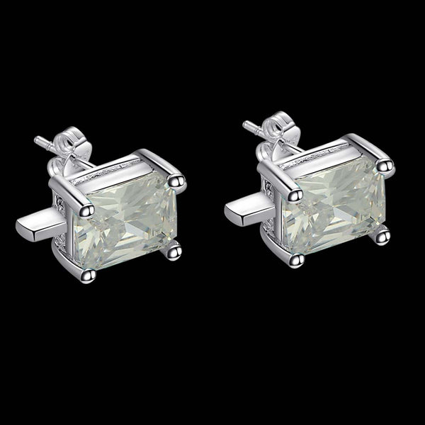 Silver Earrings LSE200