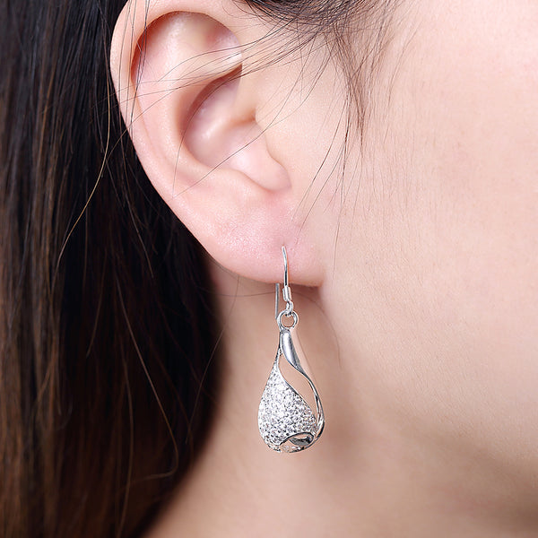 Silver Earrings LSE249