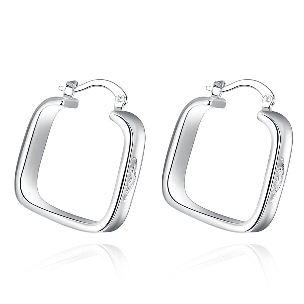 Silver Earrings LSE280