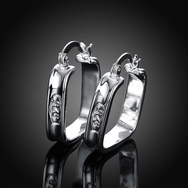 Silver Earrings LSE280