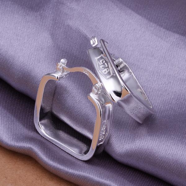 Silver Earrings LSE280