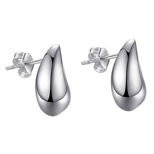 Silver Earrings LSE289