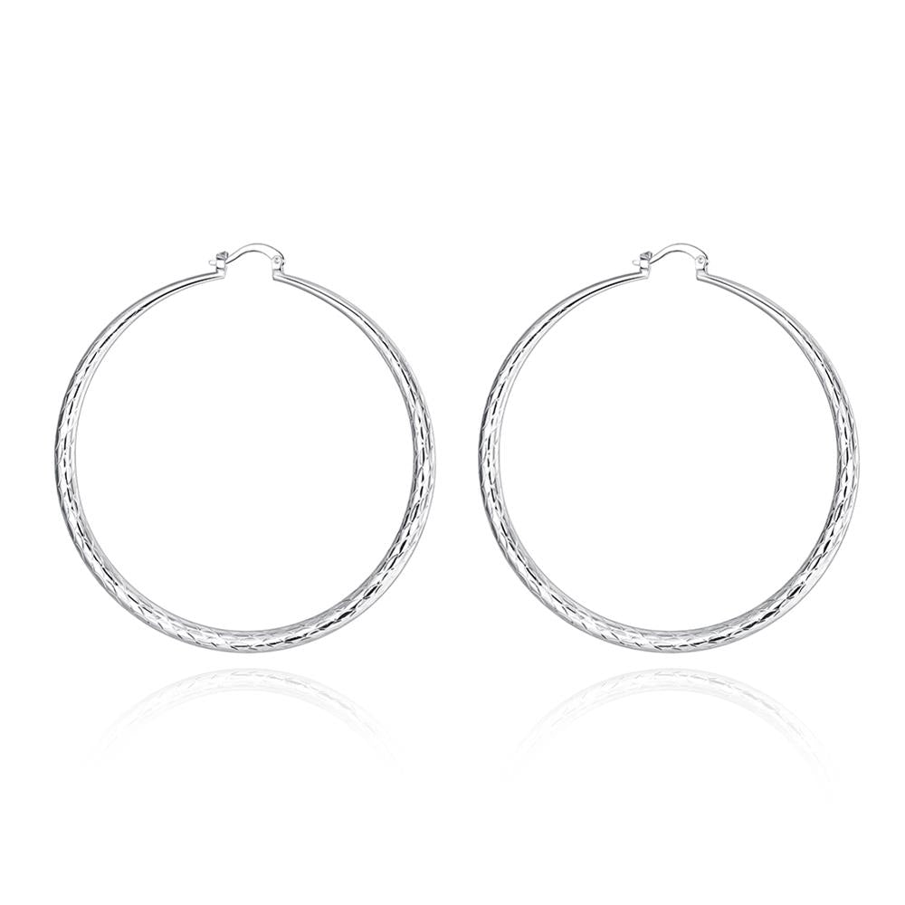 Silver Earrings LSE289