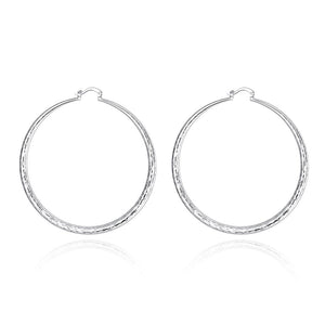 Silver Earrings LSE289