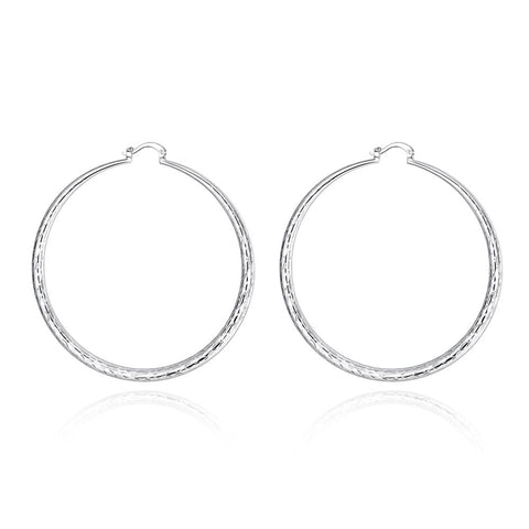 Silver Earrings LSE289