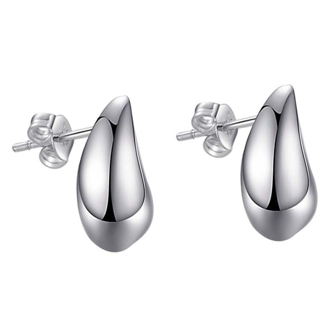 Silver Earrings LSE289