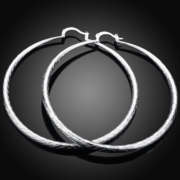 Silver Earrings LSE289