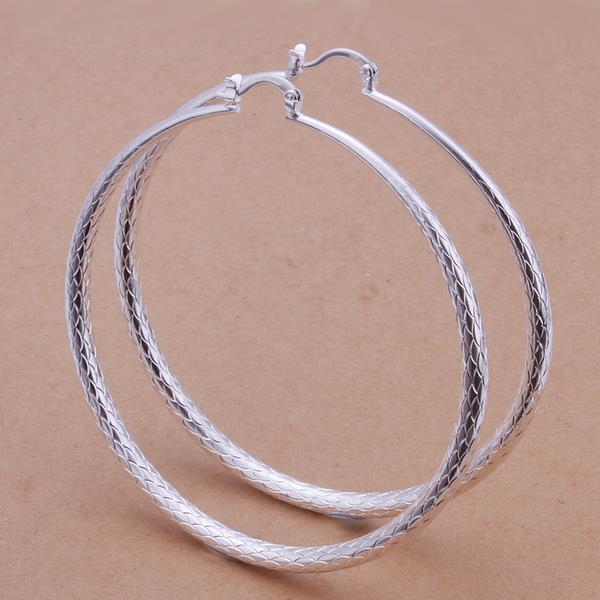 Silver Earrings LSE289