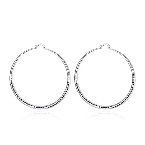 Silver Earrings LSE290