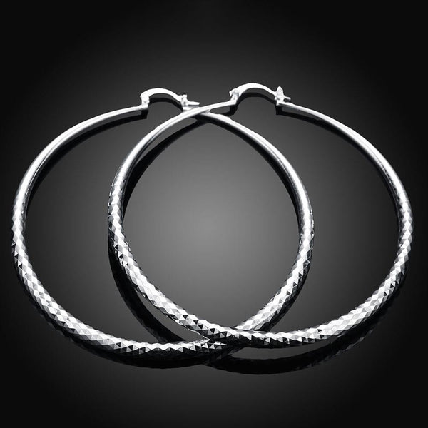 Silver Earrings LSE290