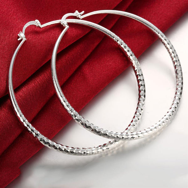Silver Earrings LSE290