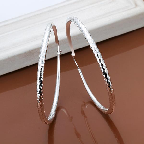 Silver Earrings LSE290