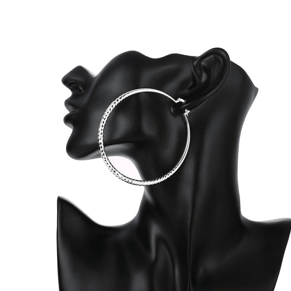 Silver Earrings LSE290