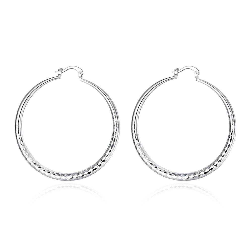 Silver Earrings LSE291