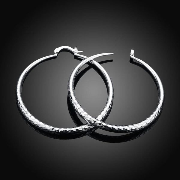 Silver Earrings LSE291