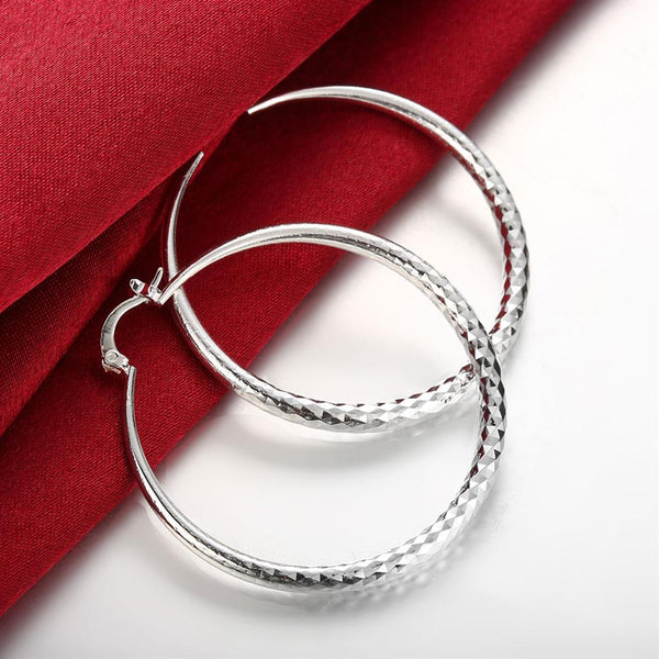 Silver Earrings LSE291