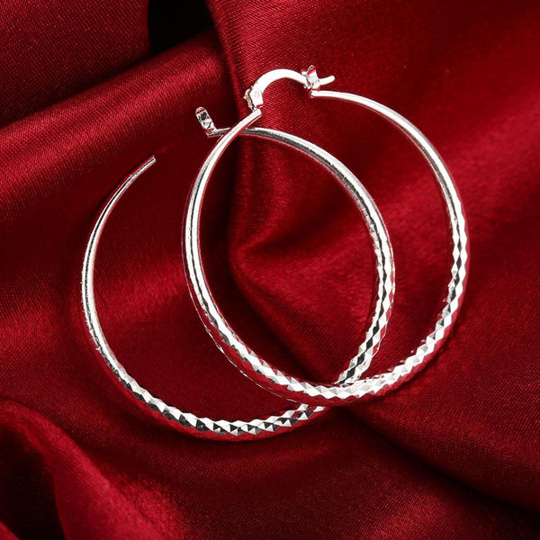 Silver Earrings LSE291