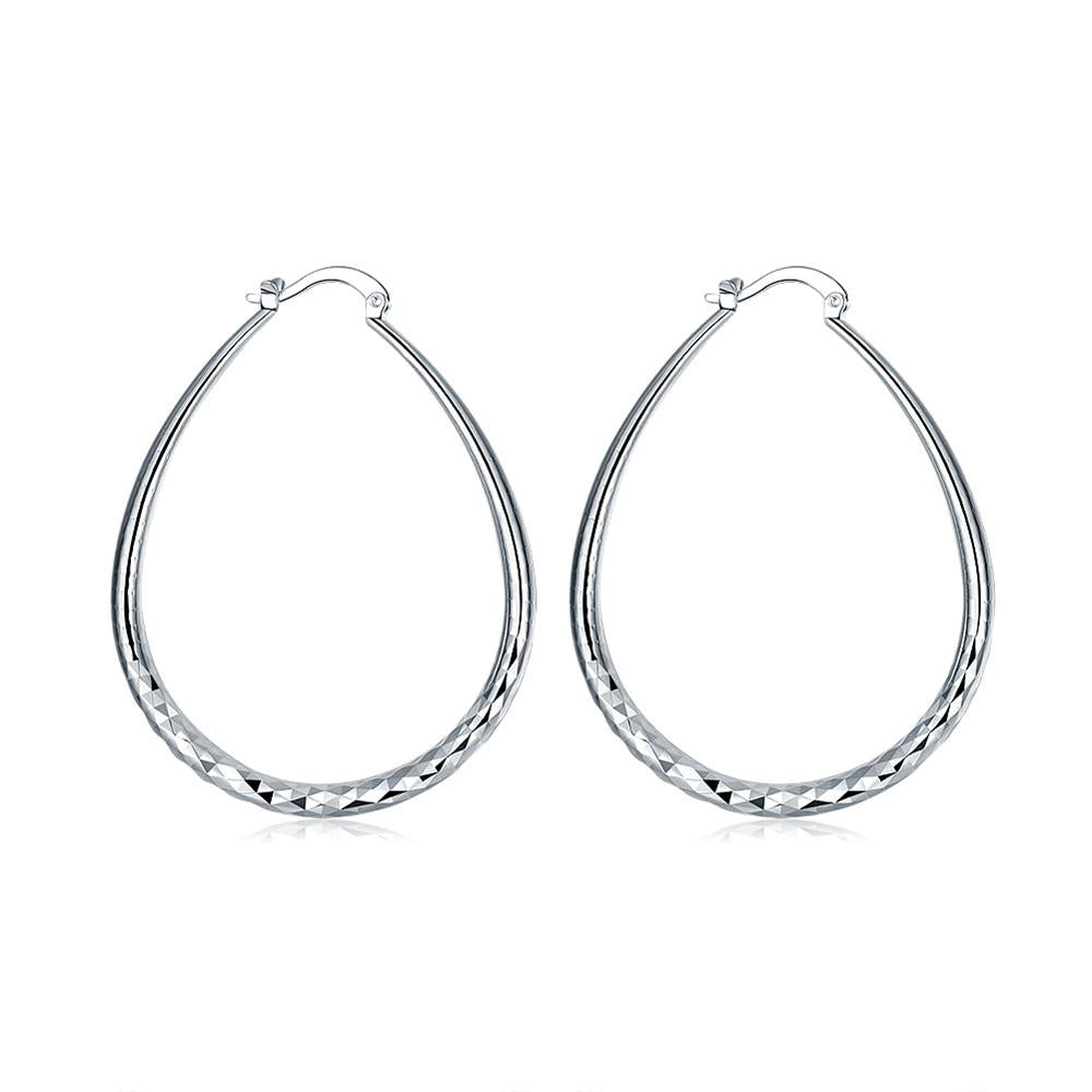 Silver Earrings LSE293