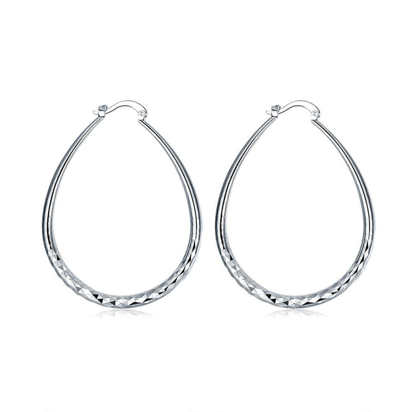 Silver Earrings LSE293
