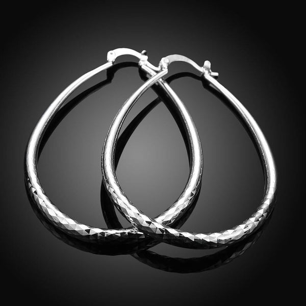 Silver Earrings LSE293