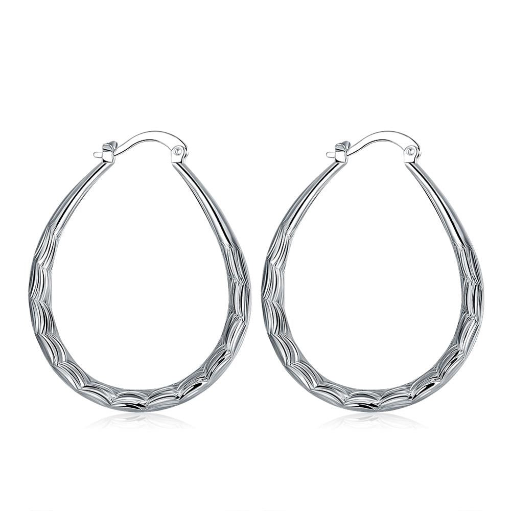 Silver Earrings LSE295