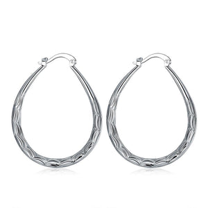 Silver Earrings LSE295