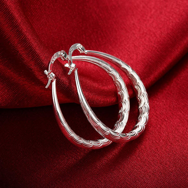 Silver Earrings LSE295