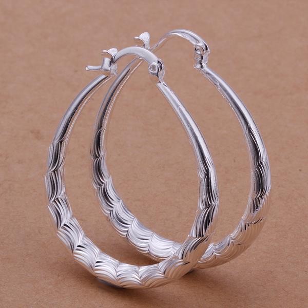Silver Earrings LSE295